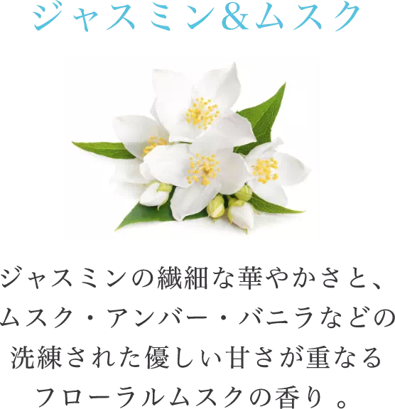 ジャスミン&ムスク　ジャスミンの繊細な華やかさと、ムスク・アンバー・バニラなどの洗練された優しい甘さが重なるフローラルムスクの香り 。