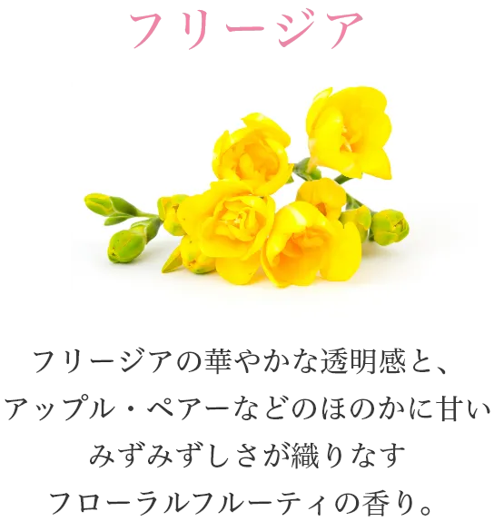 フリージア　フリージアの華やかな透明感と、アップル・ペアーなどのほのかに甘いみずみずしさが織りなすフローラルフルーティの香り。